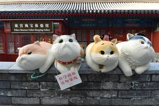 神武门现巨型御猫,故宫的御猫有何历史?
