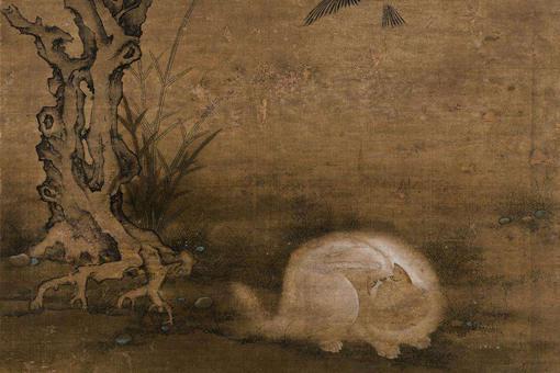 猫在古代为什么被称为狸奴?狸奴是什么意思?