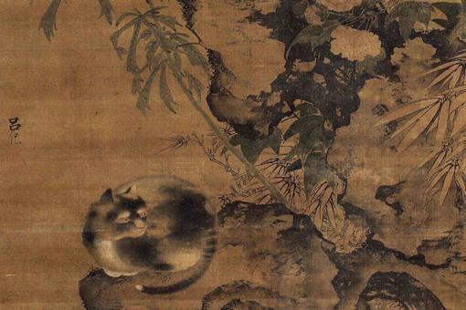 猫在古代为什么被称为狸奴?狸奴是什么意思?