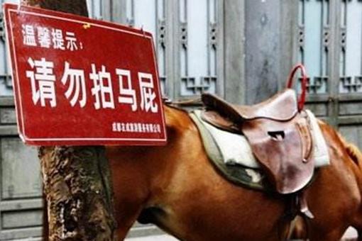 拍马屁一词的由来是怎样的?