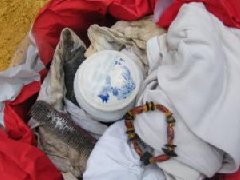 何鸿燊种生基高州是真的吗?种生基真的这么神奇